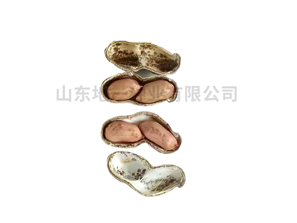 濰花25號(hào)品種